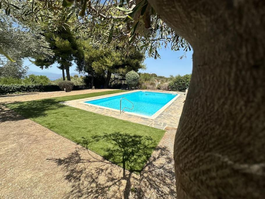 Villa Terrina Agioi Apostoloi  外观 照片